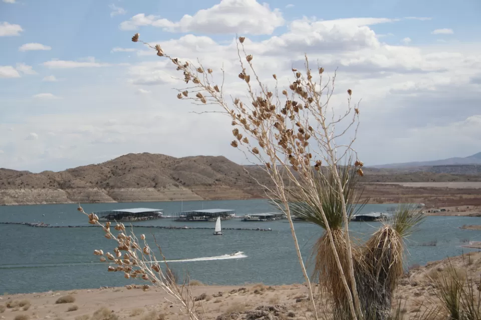 Elephant Butte Reservoir